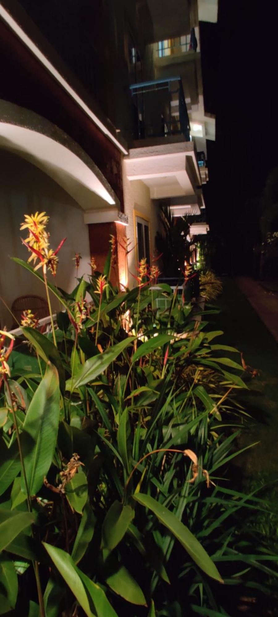 Passions De Goa Hotel Anjuna Luaran gambar